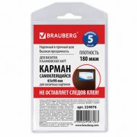 Карманы самоклеящиеся под визитные карточки (65х98 мм), КОМПЛЕКТ 5 шт., BRAUBERG, 224076 Карманы самоклеящиеся под визитные карточки (65х98 мм), КОМПЛЕКТ 5 шт., BRAUBERG, 224076