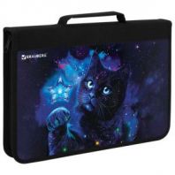 Папка на молнии BRAUBERG А4 с ручкой, с органайзером, 1 отделение, "Star cat", 274475