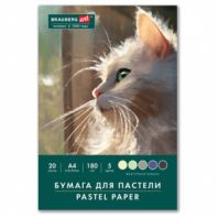 Бумага для пастели А4 в папке, 20 листов, 5 цветов, 180 г/м2, BRAUBERG ART CLASSIC, 116345 Бумага для пастели А4 в папке, 20 листов, 5 цветов, 180 г/м2, BRAUBERG ART CLASSIC, 116345