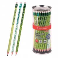 Карандаш чернографитный BRAUBERG "GREEN", 1 шт., HB, с ластиком, пластиковый, ассорти, 181746 Карандаш чернографитный BRAUBERG "GREEN", 1 шт., HB, с ластиком, пластиковый, ассорти, 181746