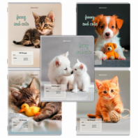 Тетрадь 12 л. BRAUBERG косая линия, обложка картон, CATS AND DOGS, 107288 Тетрадь 12 л. BRAUBERG косая линия, обложка картон, CATS AND DOGS, 107288