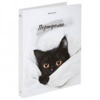 Папка-портфолио универсальная, 4 кольца, 20 файлов, 7БЦ матовая, BRAUBERG "Cat", 107557, 117557 Папка-портфолио универсальная, 4 кольца, 20 файлов, 7БЦ матовая, BRAUBERG "Cat", 107557, 117557