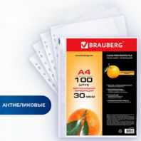 Папки-файлы перфорированные, А4, BRAUBERG "STANDARD", комплект 100 шт., матовые, 30 мкм, 221991 Папки-файлы перфорированные, А4, BRAUBERG "STANDARD", комплект 100 шт., матовые, 30 мкм, 221991
