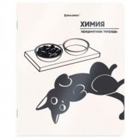 Тетрадь предметная КОТ-НЕПОСЕДА 48 л., пластиковая обложка, ХИМИЯ, клетка, подсказ, BRAUBERG, 405538 Тетрадь предметная КОТ-НЕПОСЕДА 48 л., пластиковая обложка, ХИМИЯ, клетка, подсказ, BRAUBERG, 405538