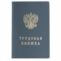 Бланк документа "Трудовая книжка", 88х125 мм, ГОЗНАК Бланк документа "Трудовая книжка", 88х125 мм, ГОЗНАК