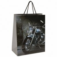 Пакет подарочный (1 штука) 26x13x32 см, ЗОЛОТАЯ СКАЗКА "Мотоцикл", ламинированный, 606589 Пакет подарочный (1 штука) 26x13x32 см, ЗОЛОТАЯ СКАЗКА "Мотоцикл", ламинированный, 606589